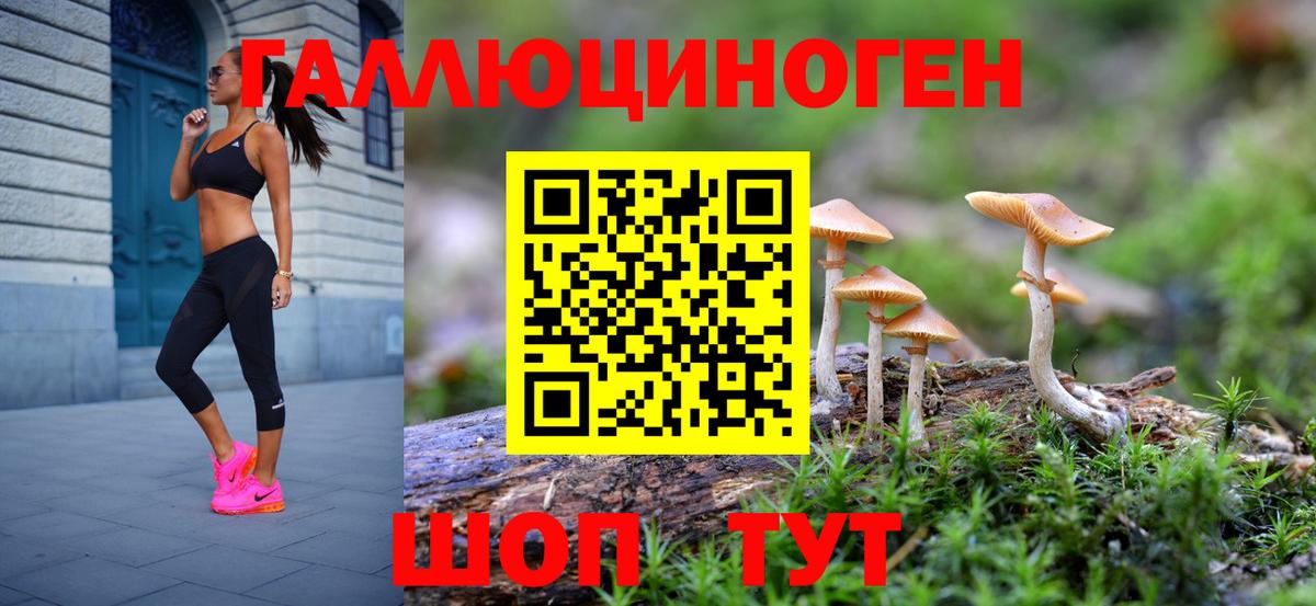 Галлюциногенные грибы MAGIC MUSHROOMS Корсаков