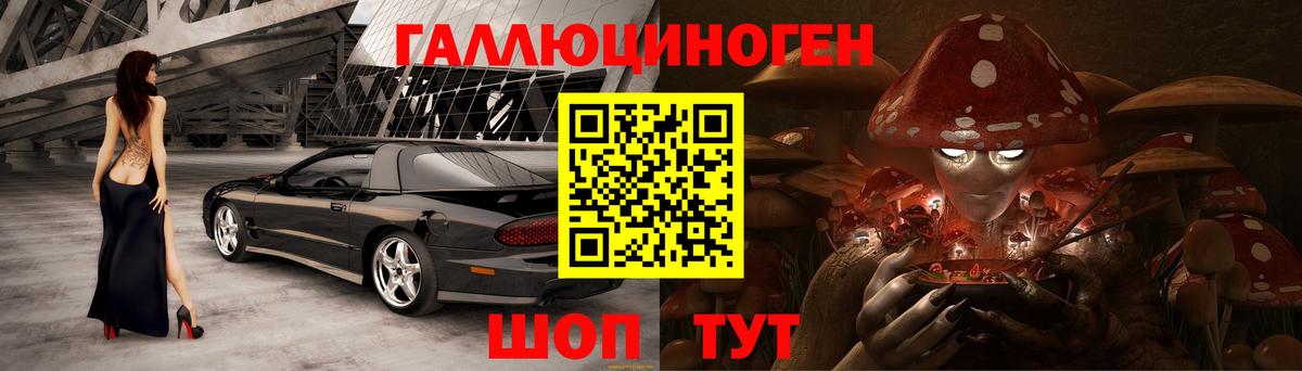 Галлюциногенные грибы Psilocybine cubensis  Галлюциногенные грибы мицелий  Корсаков  Вход с VPN 